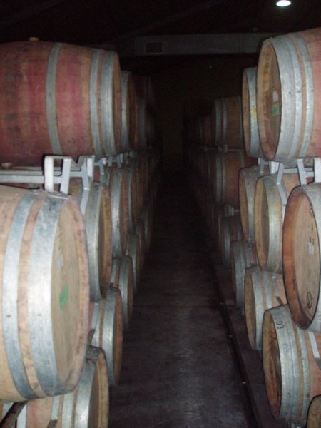 KeHa_in_South_Africa - 188